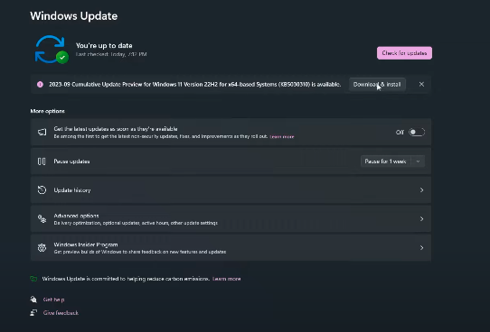 Update Windows 11